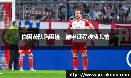 okooo澳客网官网
